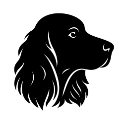 Springer Accounting Logo